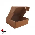 کارتن استاندارد